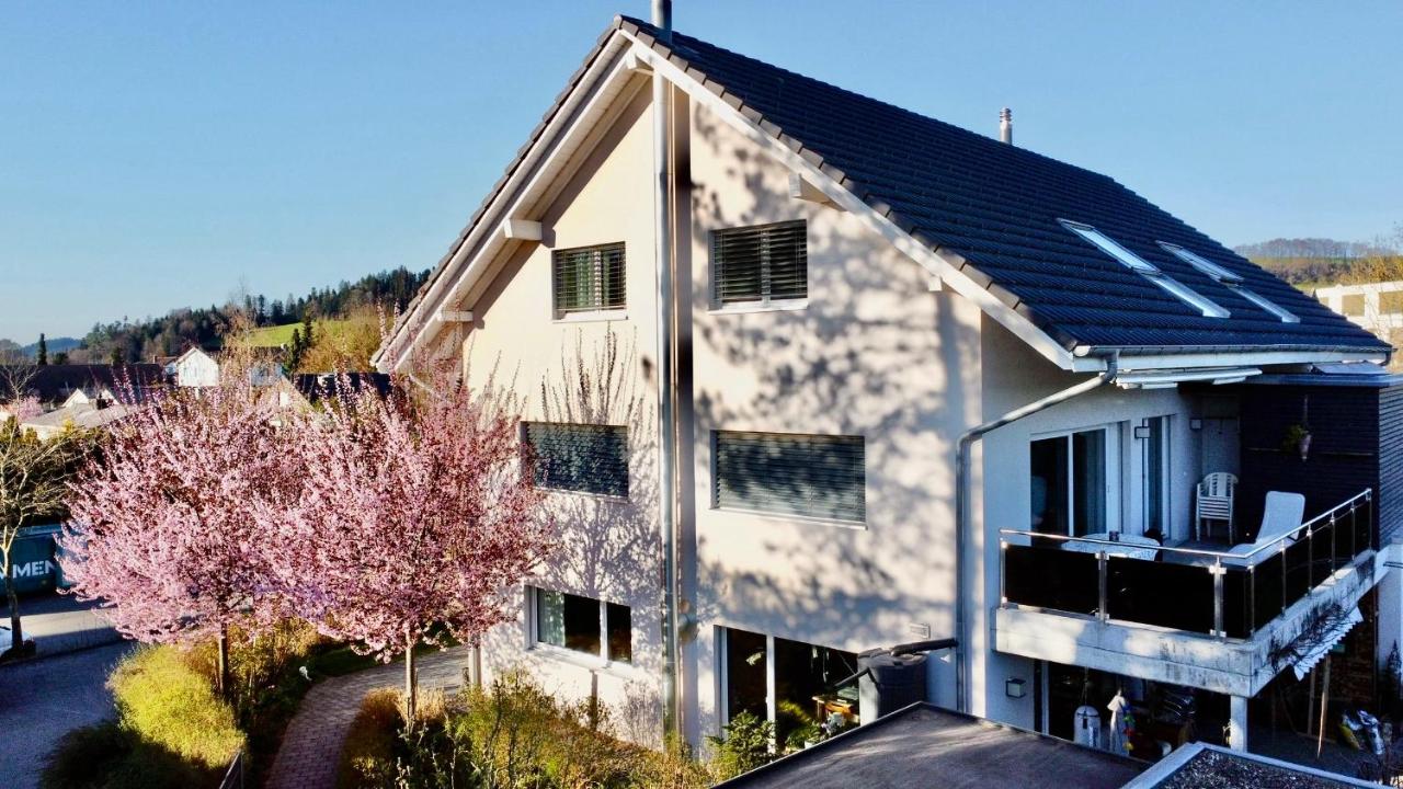 Grosse Wohnung mit Sauna - B&B