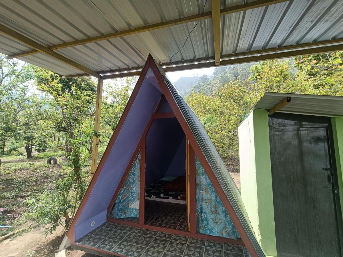 BumpyTrailsCabin - B&B