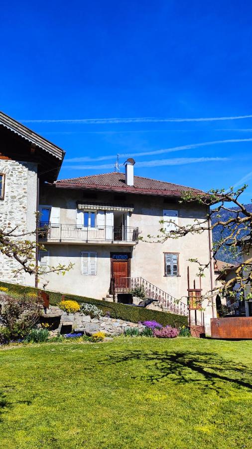 Domus Anicio - Spazioso Loft con Giardino - B&B