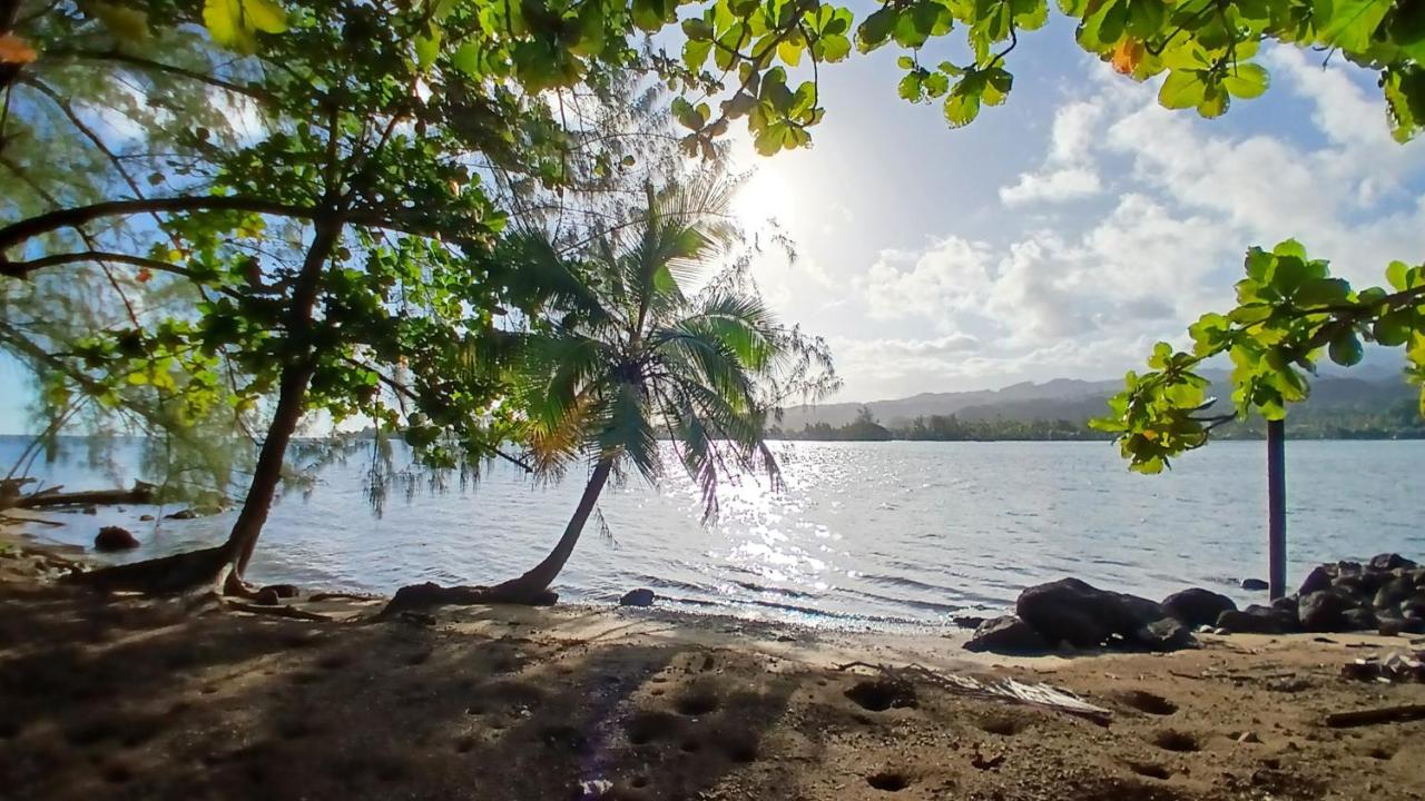 Tahiti Iti - Fare Pihiti Spot - Bed and Breakfast Paui