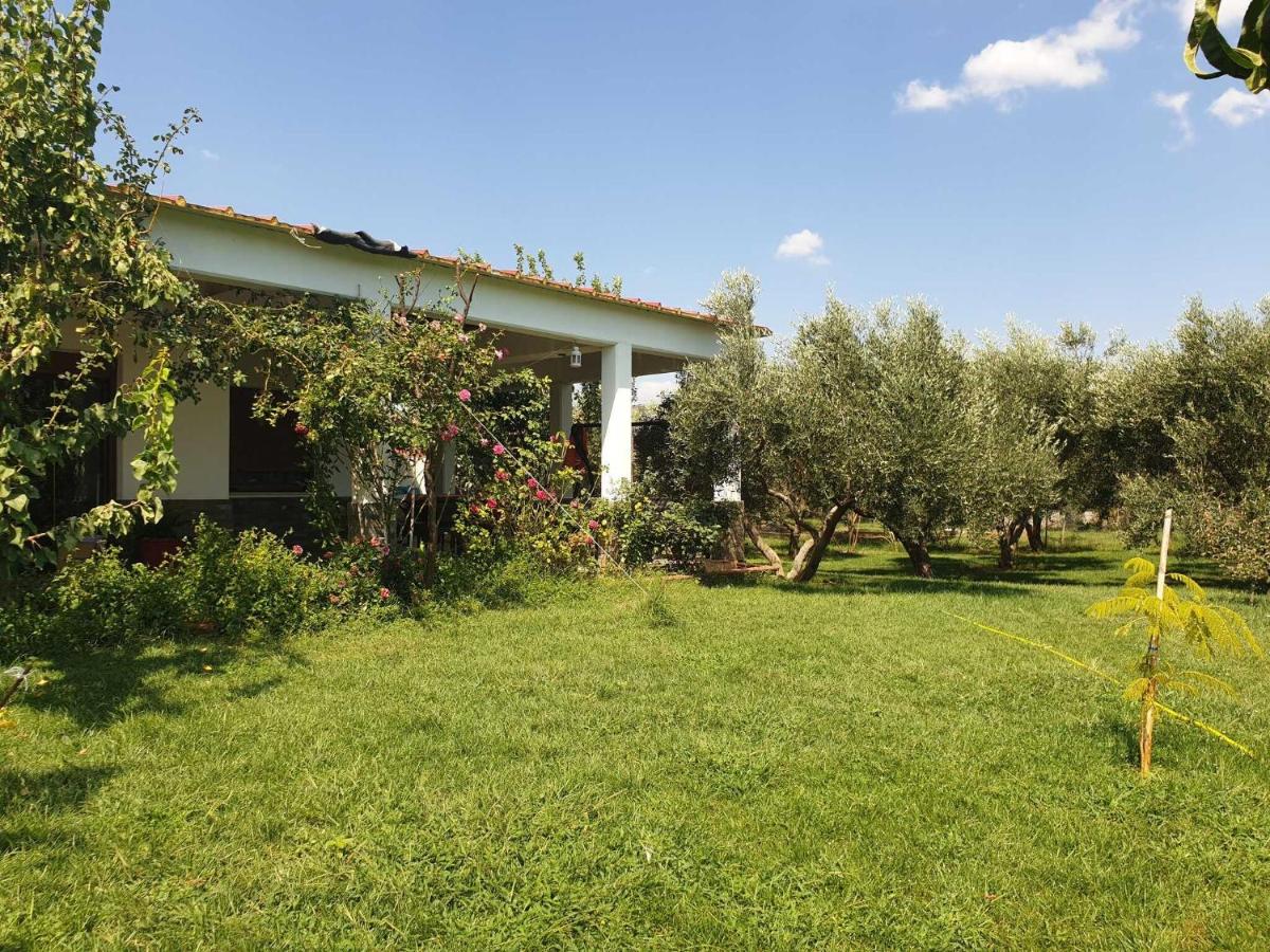 Dikella Beach Villa - B&B