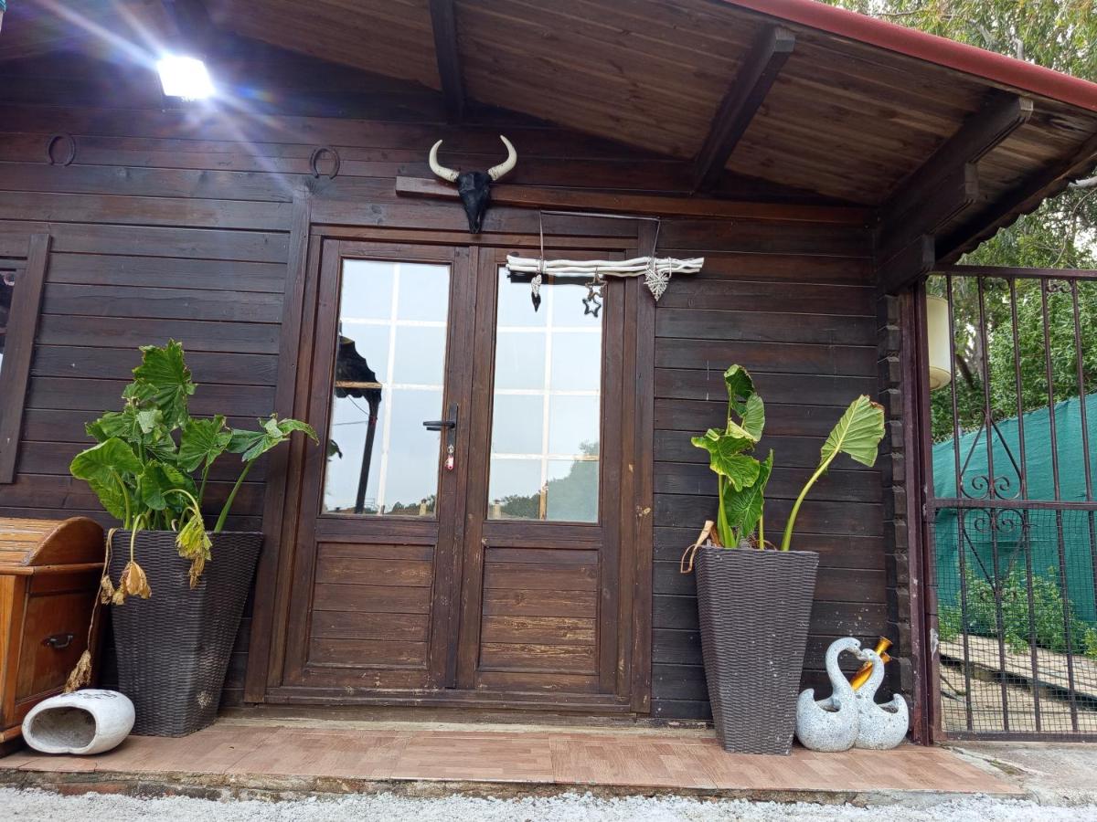 Centro ecuestre Girasol - B&B