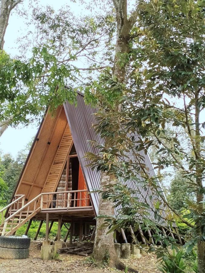 FarmStay Vua Sầu Riêng - B&B