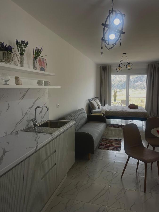 View of flamingos - B&B