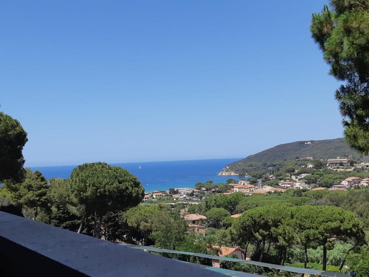 Residence Napoleon - MV - B&B Procchio
