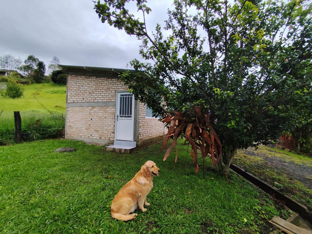 Cabaña Retiro del Bosque Popayán - B&B
