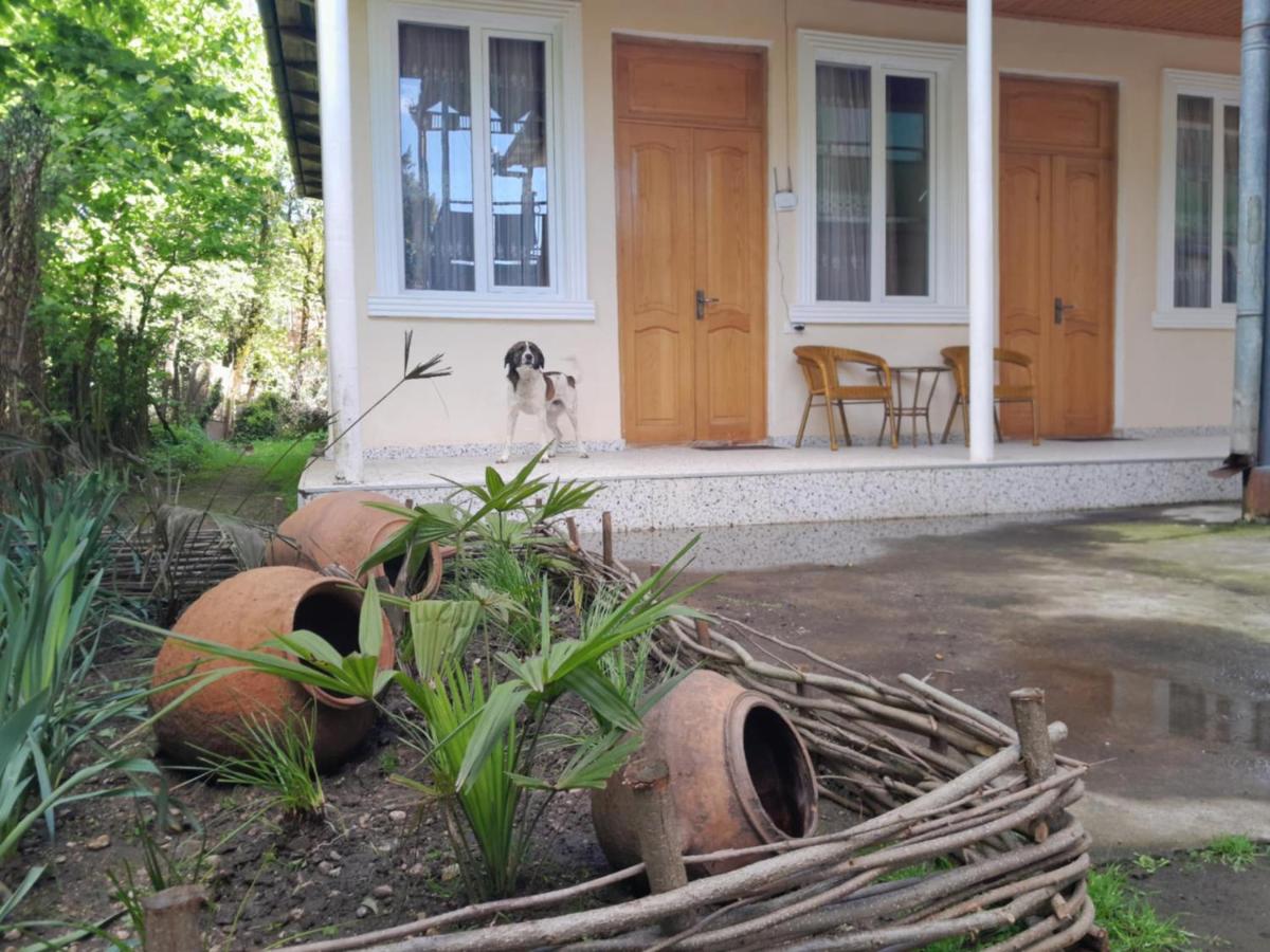 BaBa guesthouse - B&B