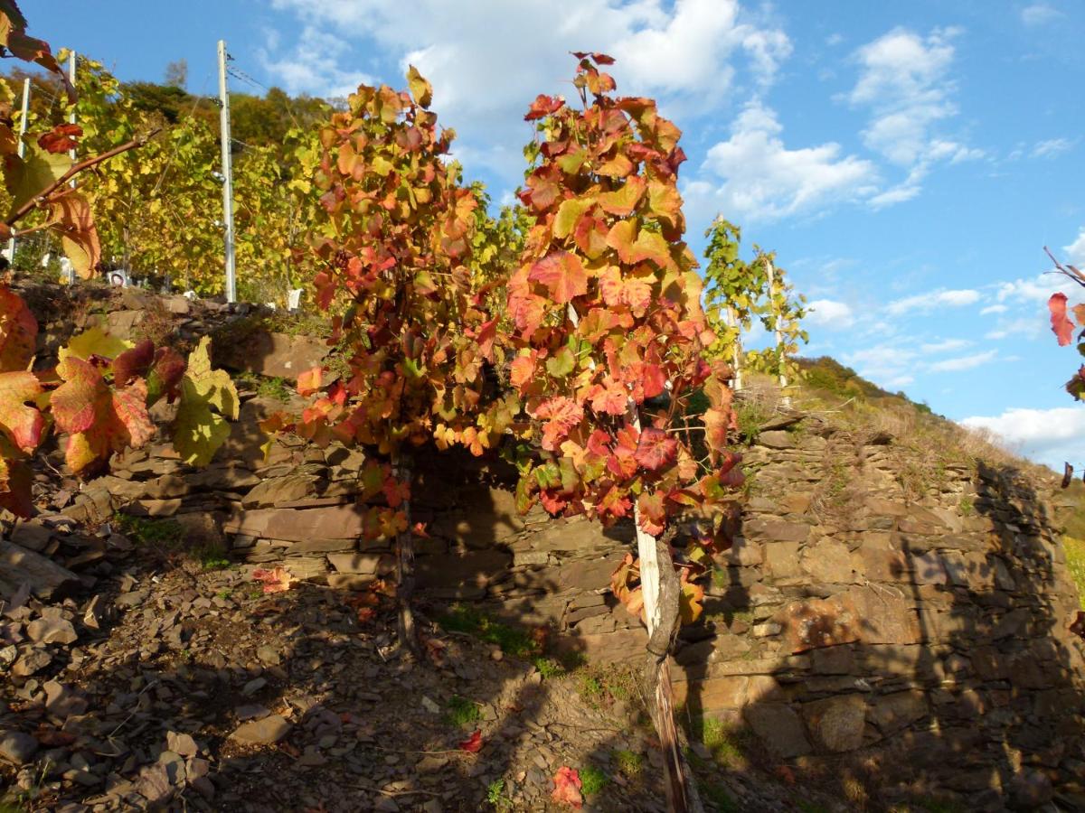 Mosel-Apart Rudorfer - Chambres d’hôtes Valwig