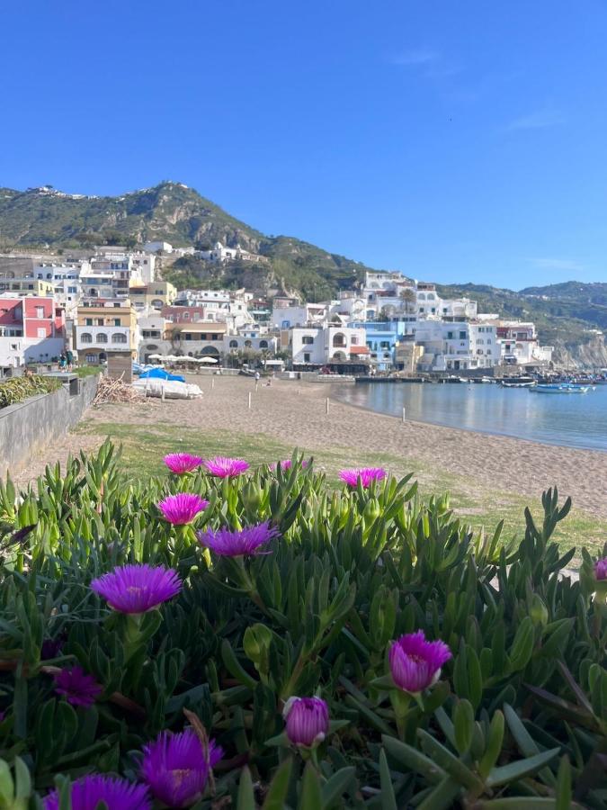 Casetta Sant'Angiolese - B&B