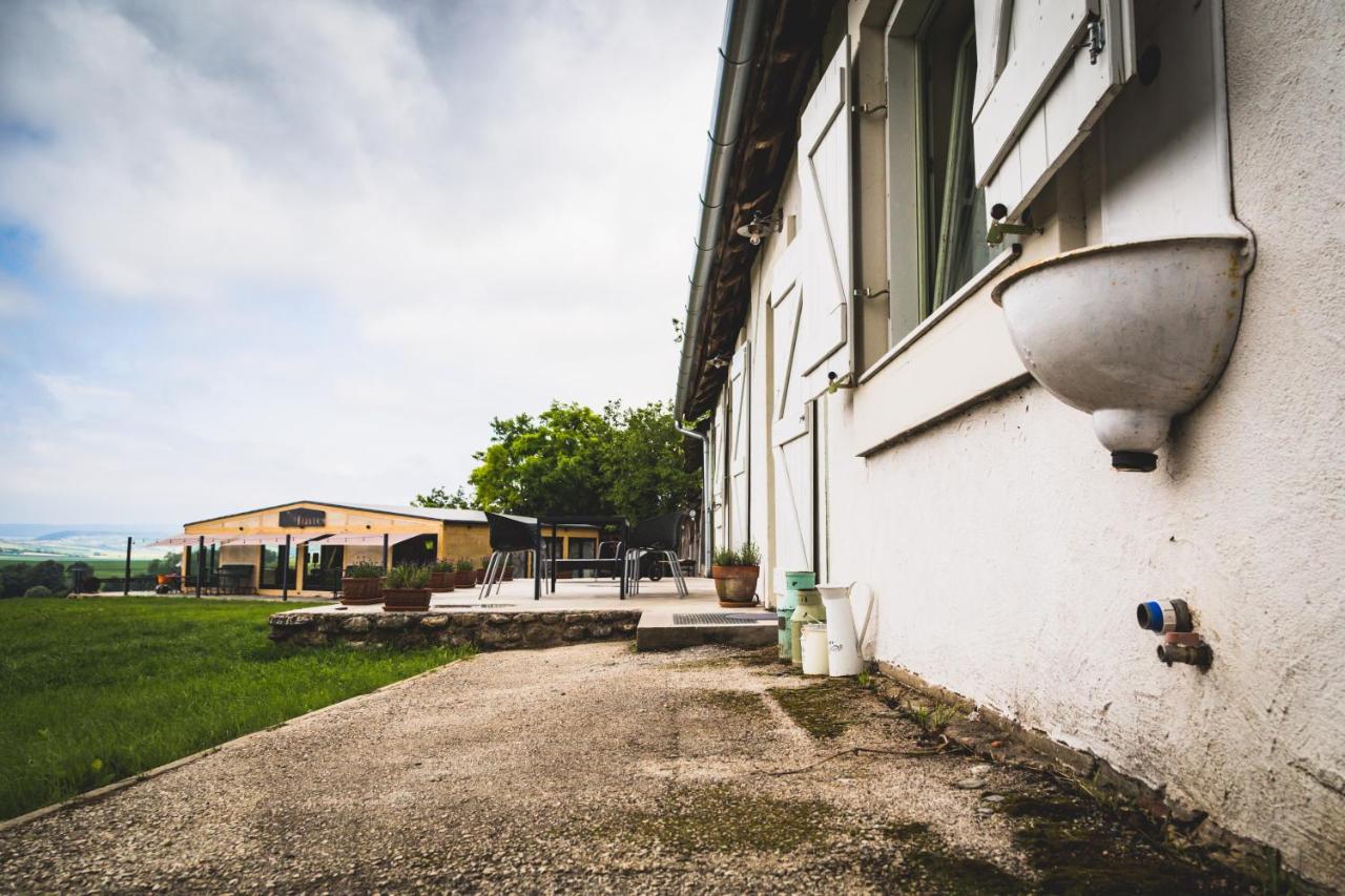 Ferde Kemping és Vendégház - B&B