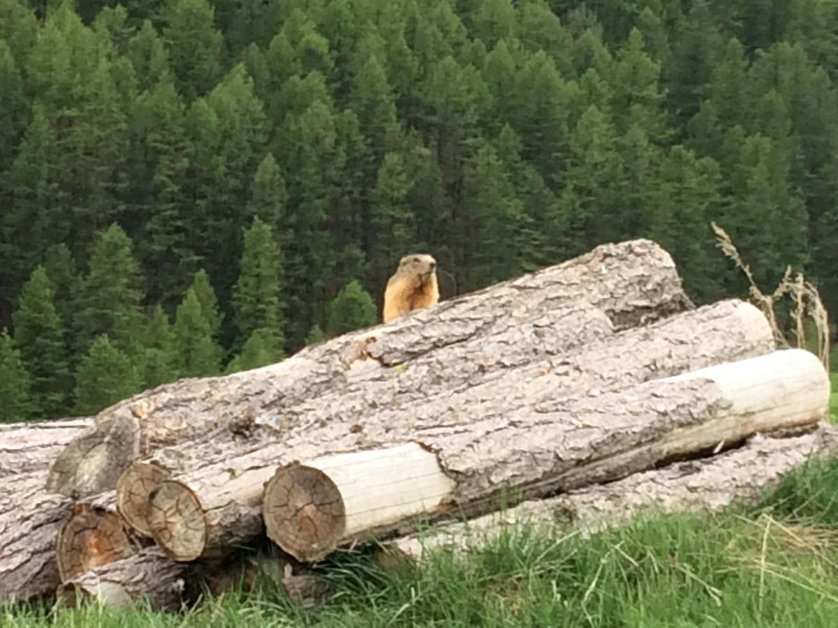 Superdevoluy avec vue sur les pistes et montagne - B&B Le Dévoluy