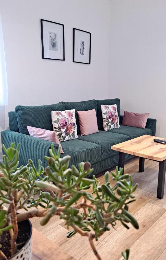 Apartament dzika róża
