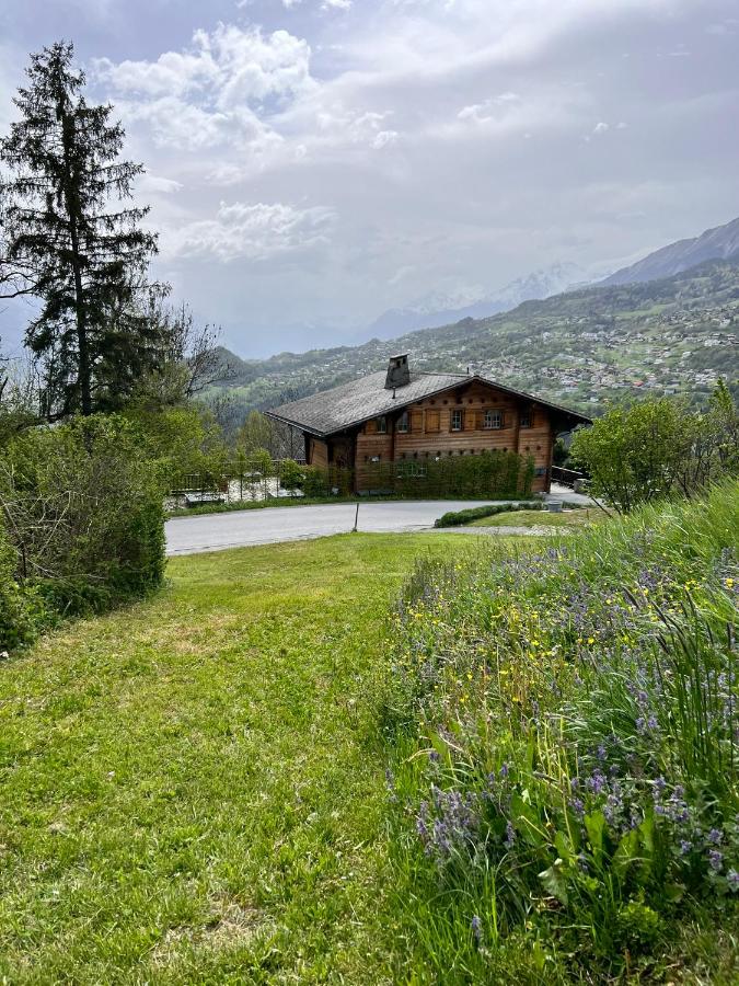 Himalayan vibes - Ferienwohnung