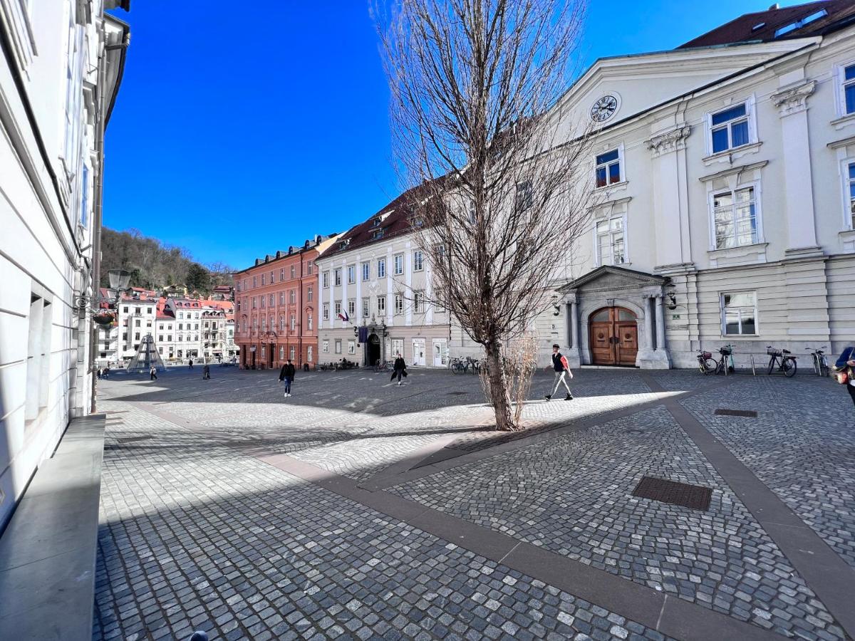 Modern studio apartment in the heart of old city - B&B Lubiana