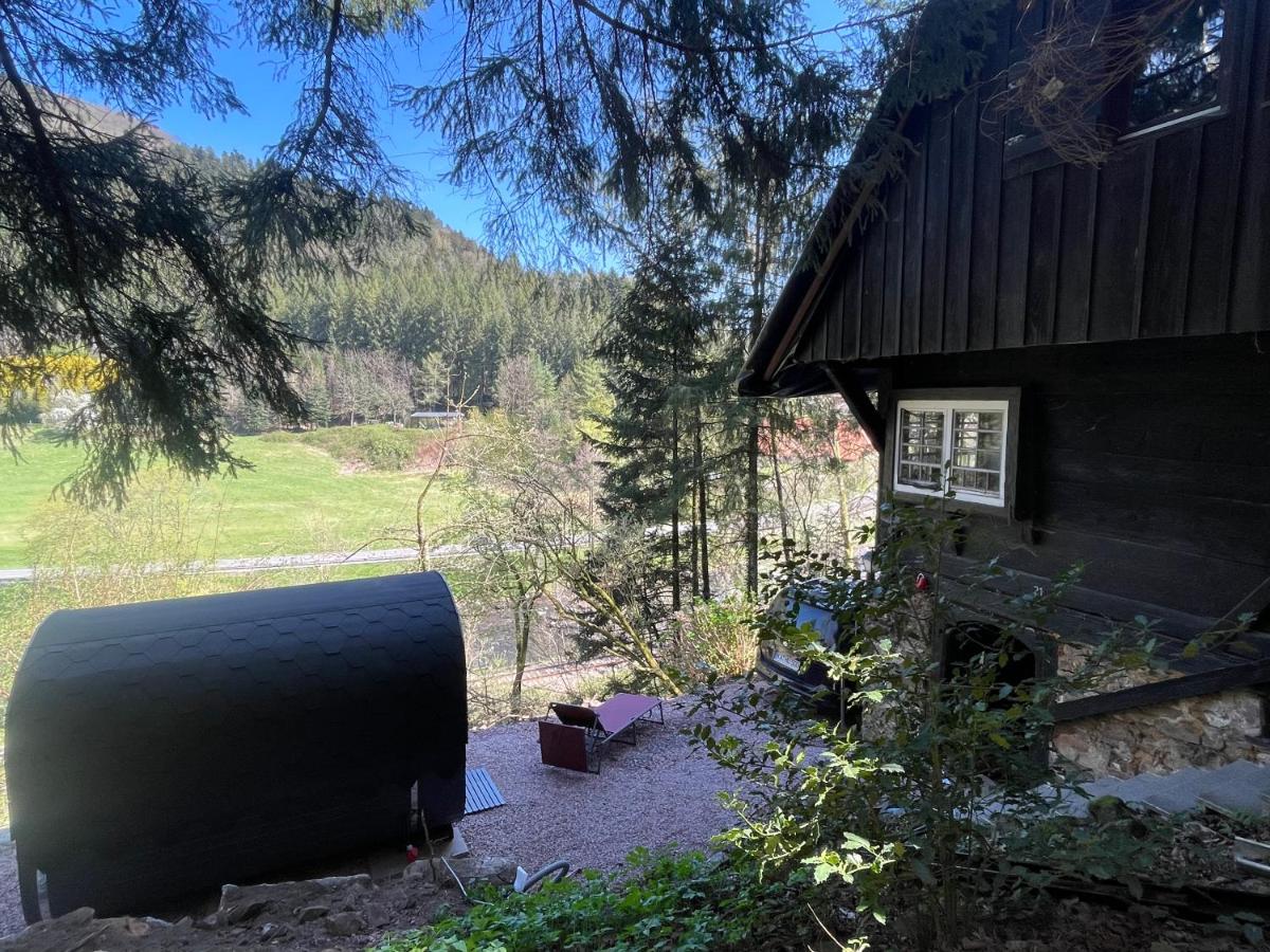 Black Forest House - Bed and Breakfast