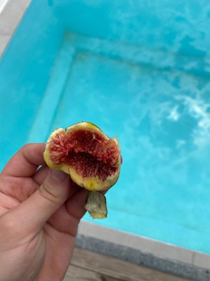 The Country House - B&B Áfra