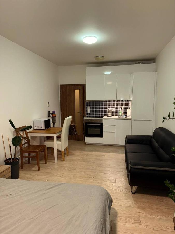 Apartment mit 1 Schlafzimmer