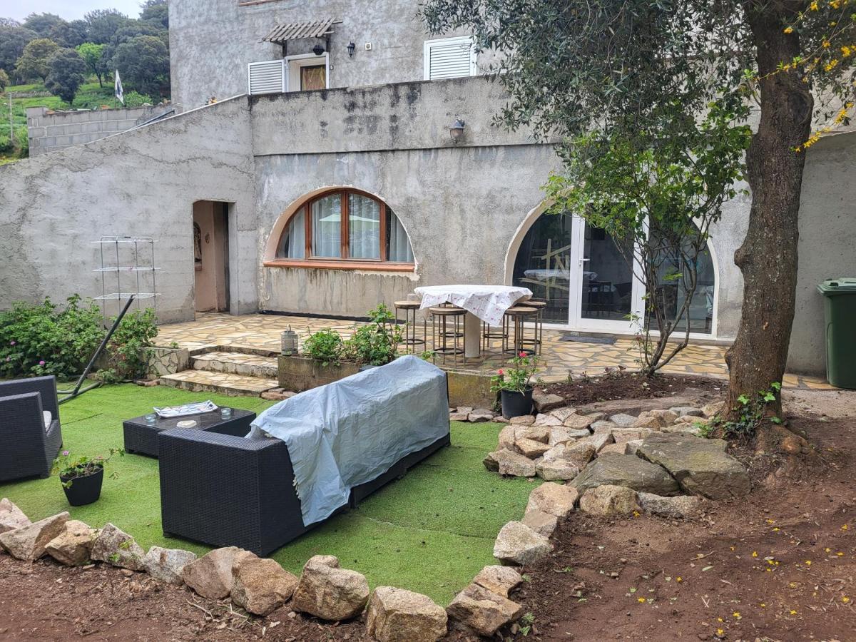 Appartement calme, authentique et spacieux au pied du GR20 - B&B Calenzana