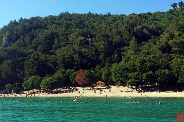 Apartman ELSA - B&B Potpićan