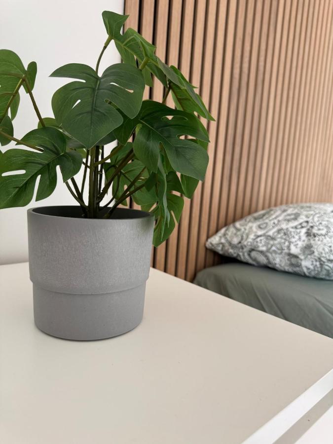 Appartement met 1 Slaapkamer