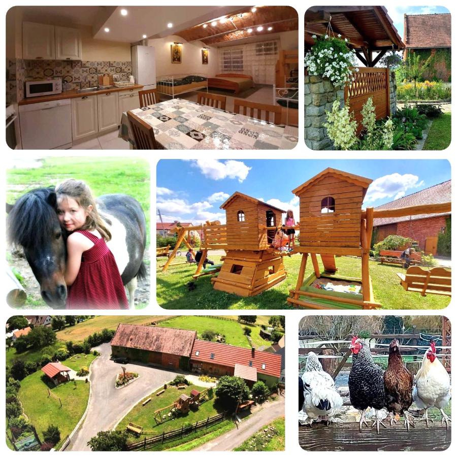 Gościnna Zagroda Gościejowice Noclegi Apartamenty Agroturystyka Niemodlin - Chambres d’hôtes