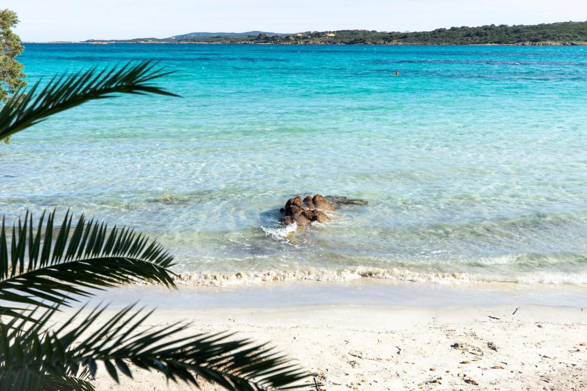 Ulivo al mare, Olbia, Murta Maria - Ferienwohnung Murta Maria
