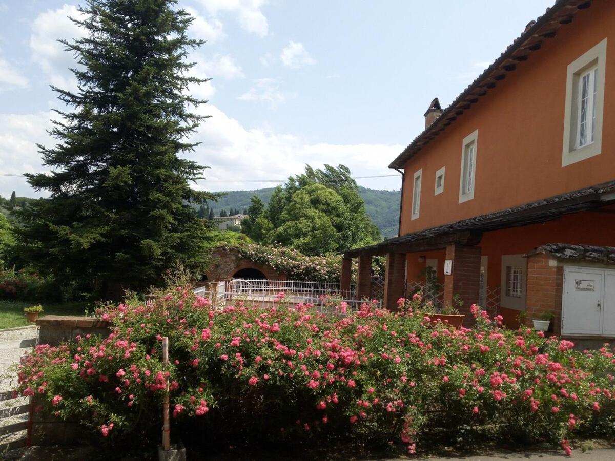 Appartamento Cardellini 1 - B&B Pescia