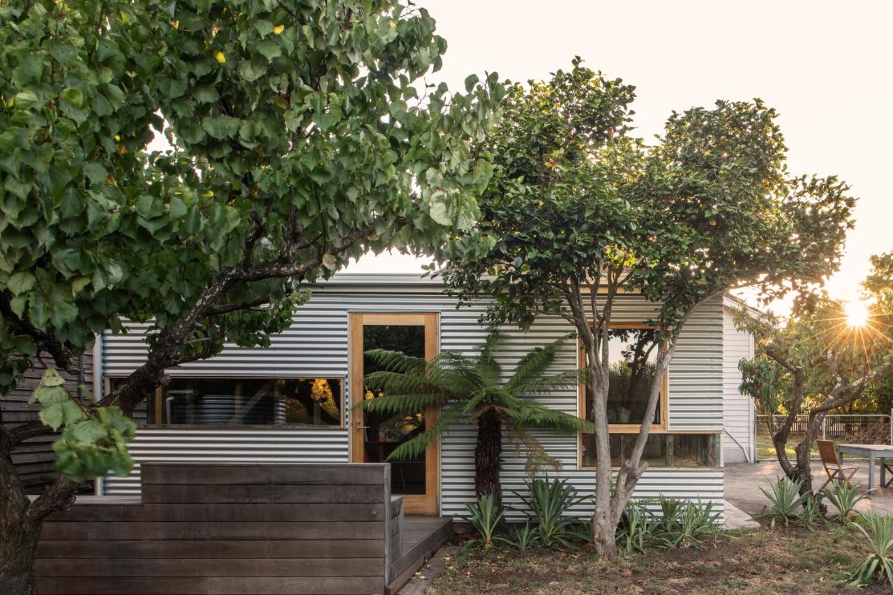 Suite Shed, Unique accessible private guest suite in Launceston - Bed and Breakfast Launceston