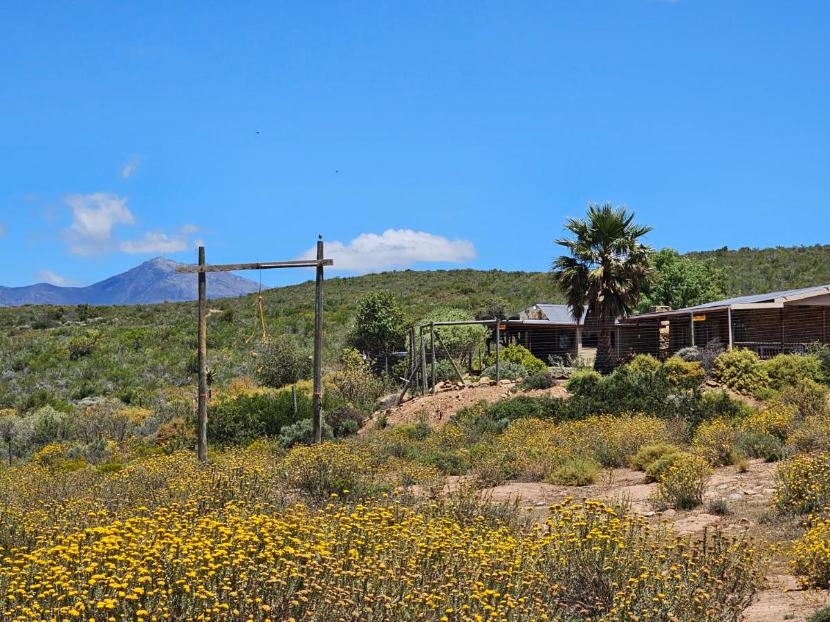 Phumelela Private Game Farm - B&B Pinegrove