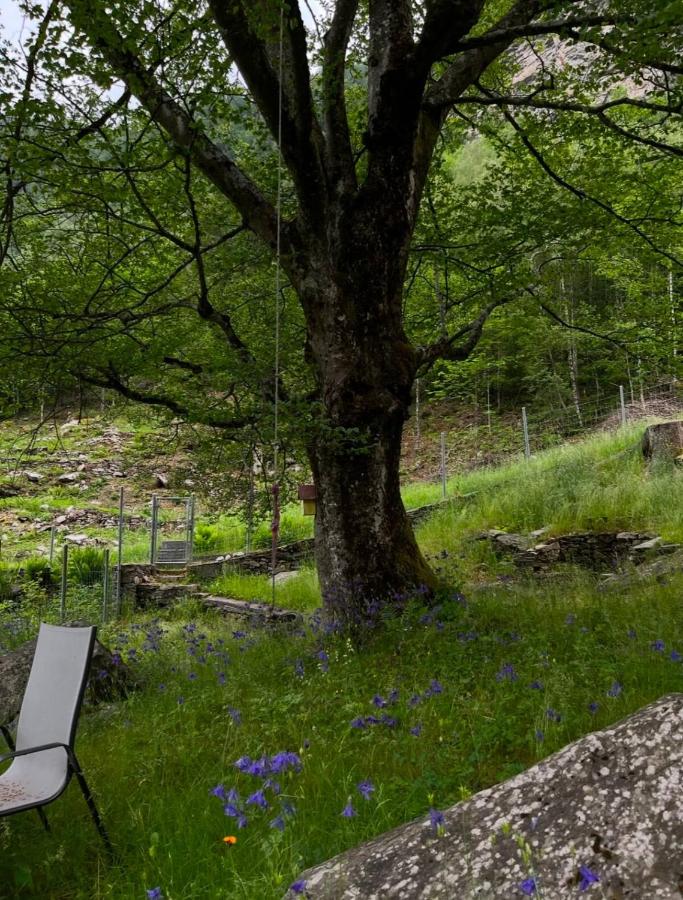 Private 3-story villa in Val calanca, Rossa - B&B Rossa