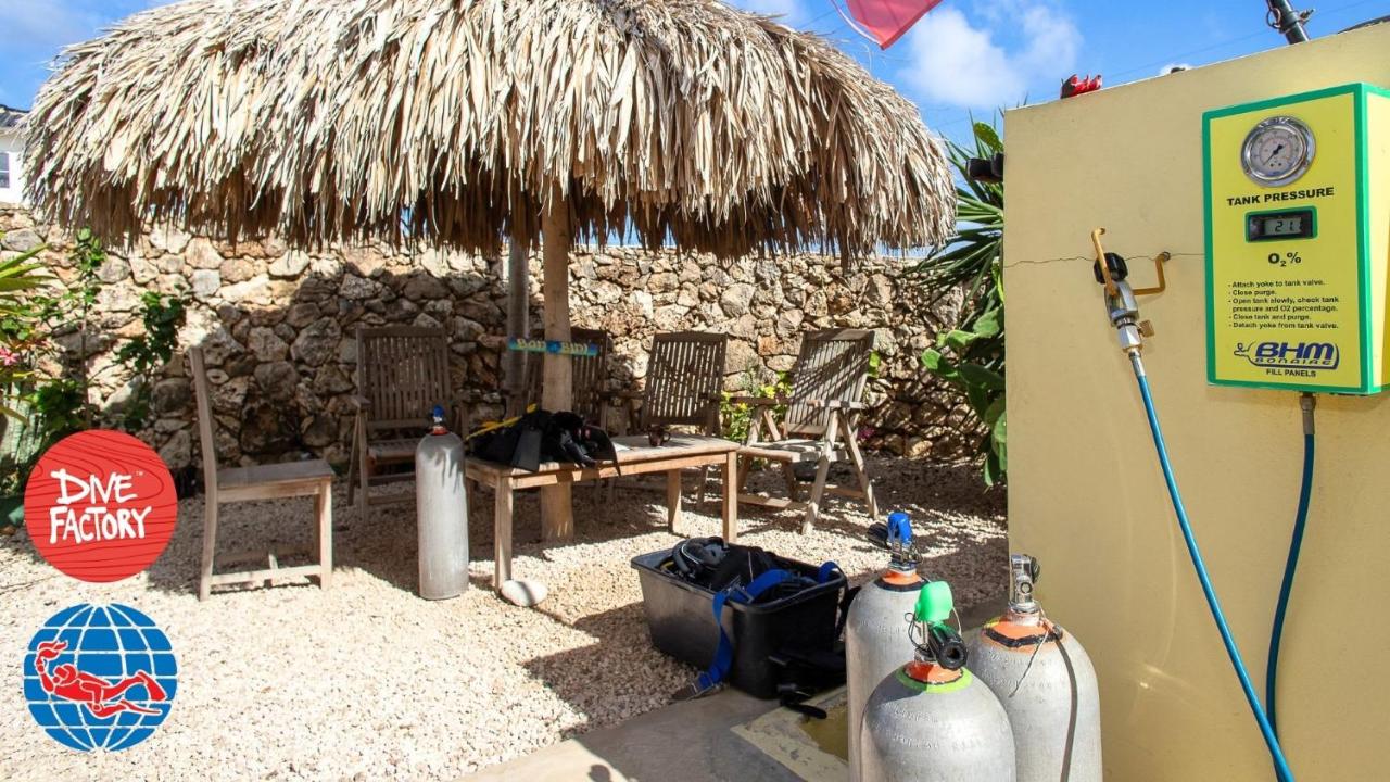 Caracara J1 Relax & Dive Resort Bonaire Village - B&B Kralendijk