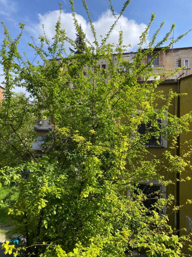Cenis Apartment - B&B