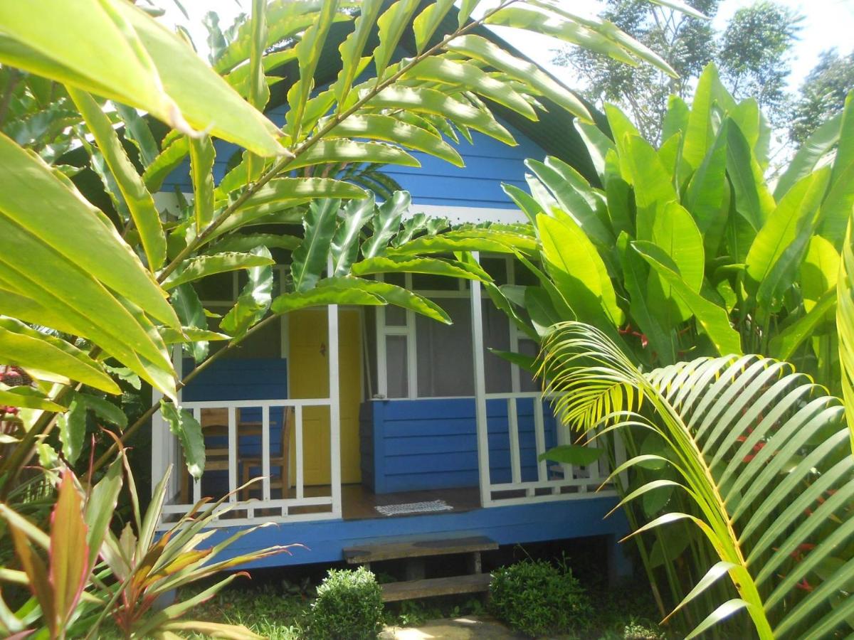 Bungalow (4 Erwachsene)