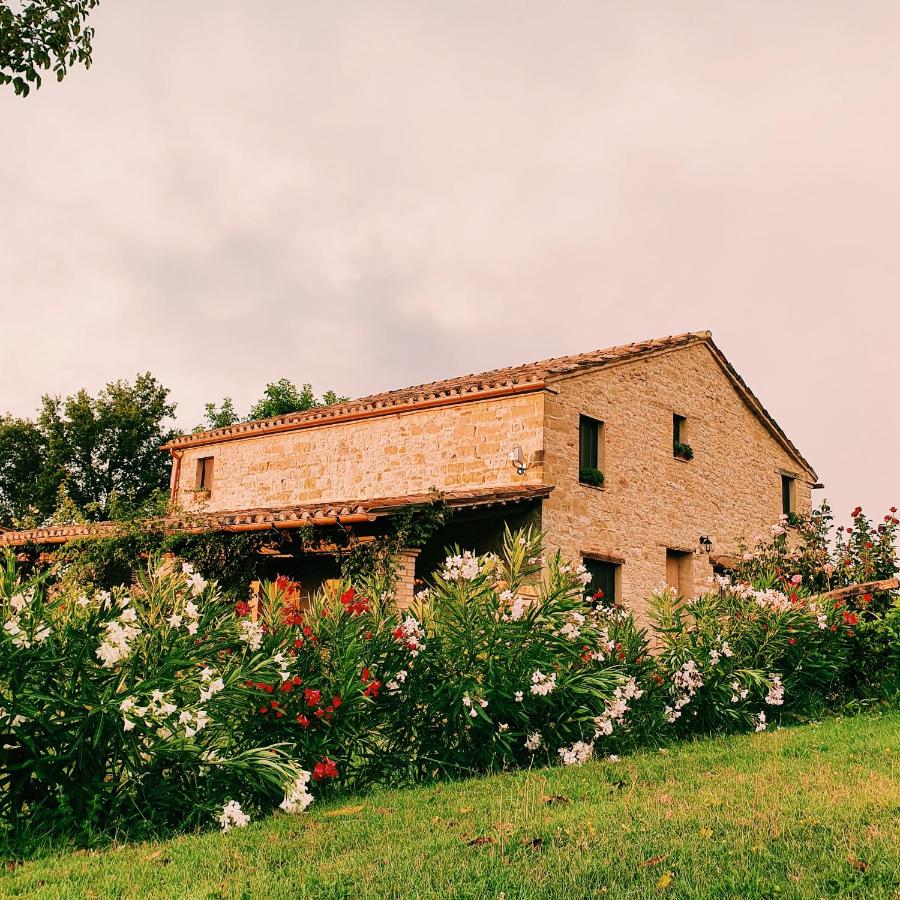 San Isidore - Bed and Breakfast Penna San Giovanni