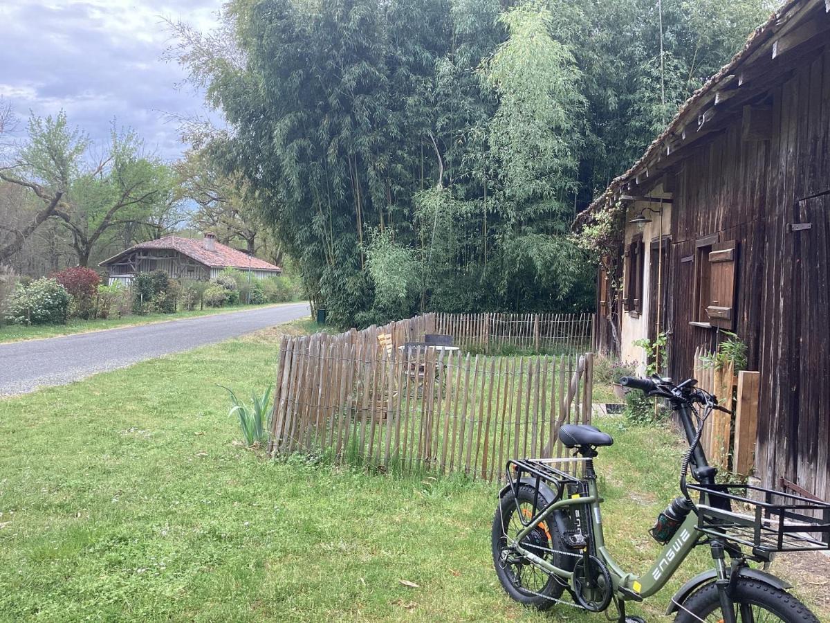 Cabane de charme - B&B Losse