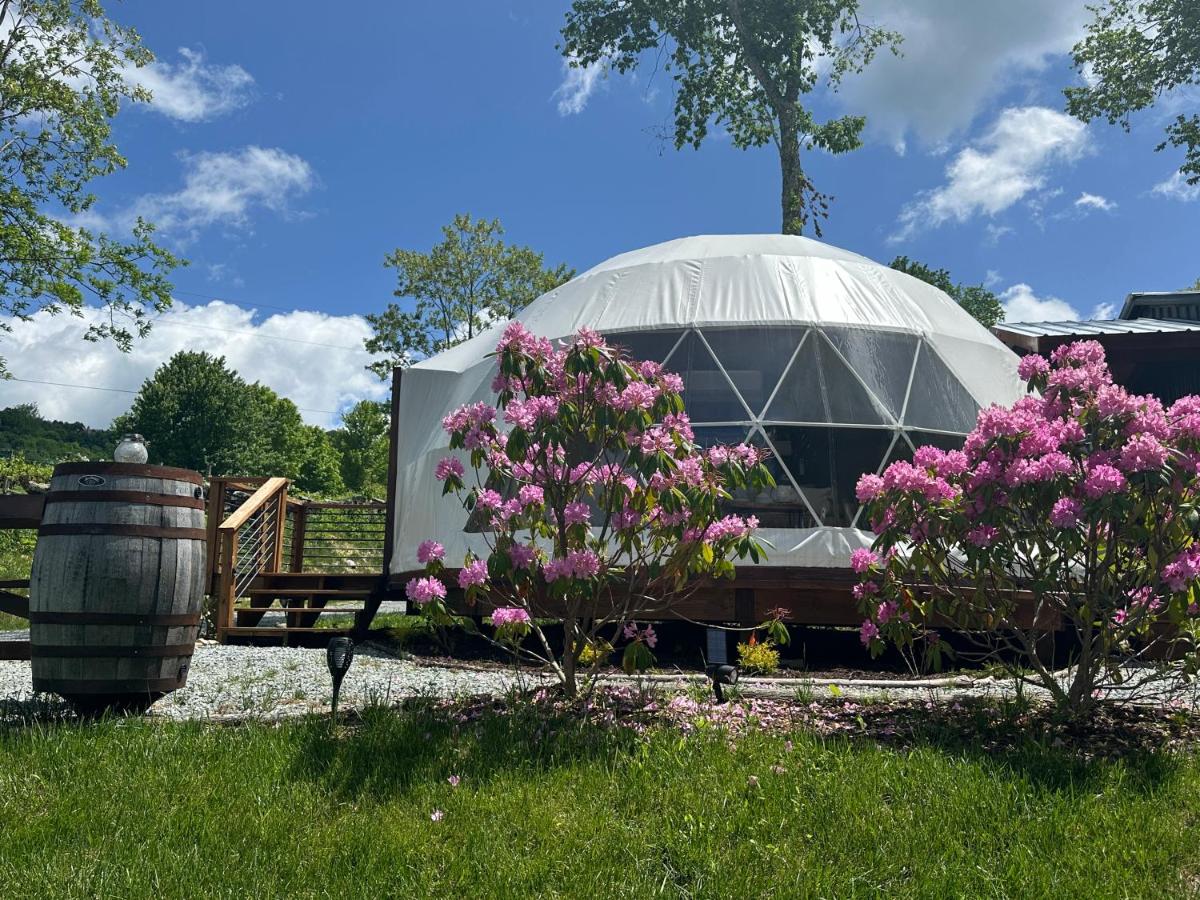 Luxury Glamping Domes,Hot Tub, Mountain views, Winery - Bed and Breakfast Banner Elk