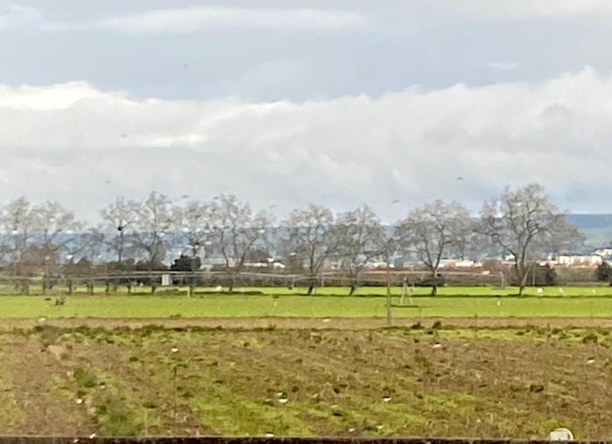 Triple Room with Garden View