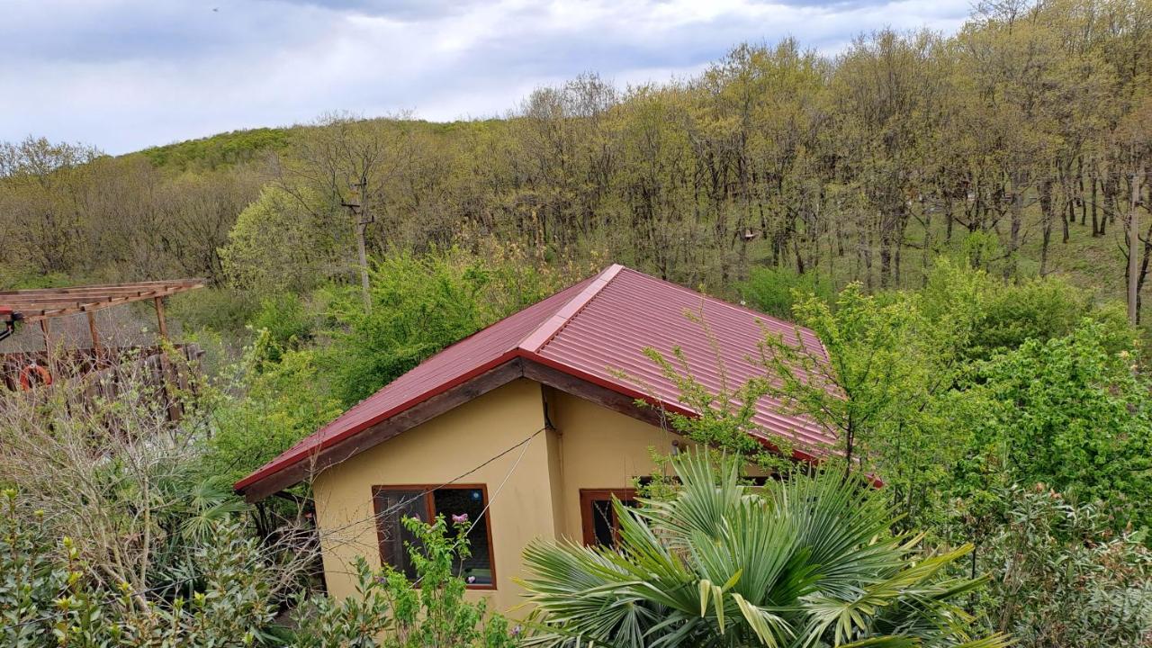 Yellow villa - Ferienwohnung
