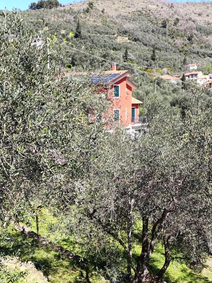 Le casasse - Bed and Breakfast