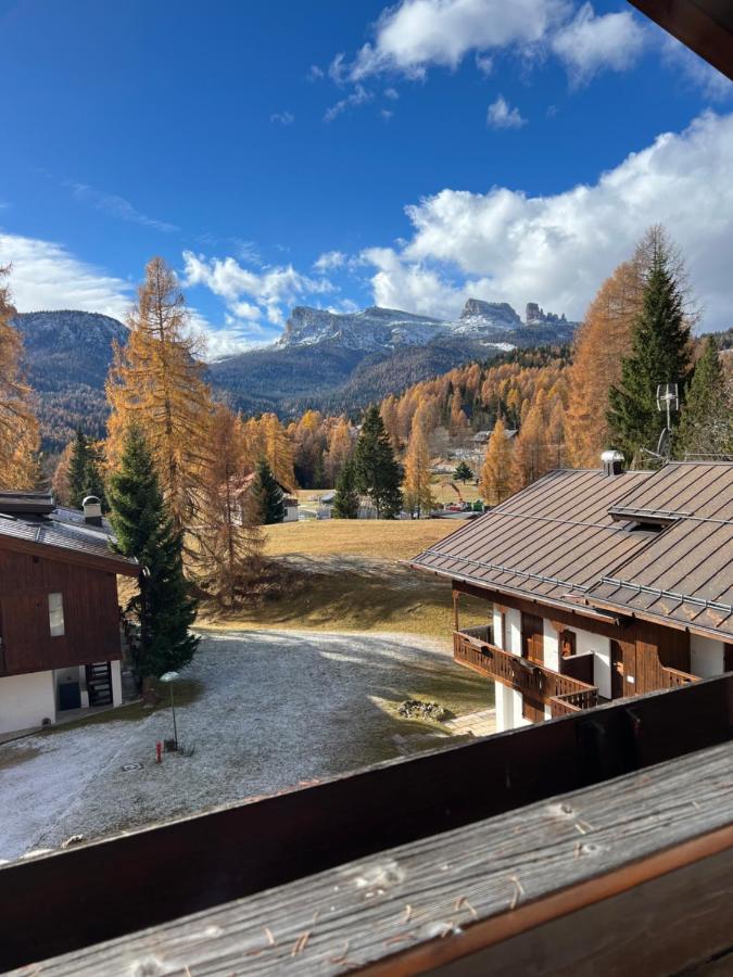 Chalet vicino le piste da sci - B&B