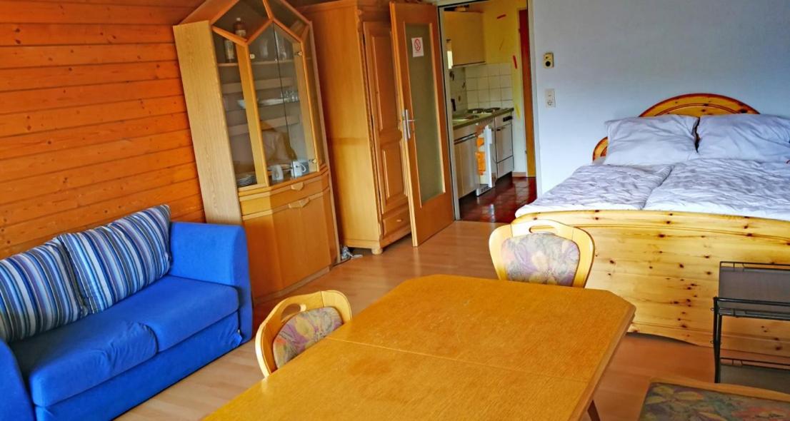 Apartment Haus Steigerbauer Top 29 - Chambres d’hôtes Königsleiten