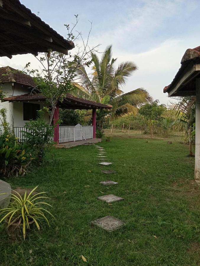 Sunshine Cafe - B&B Tangalle