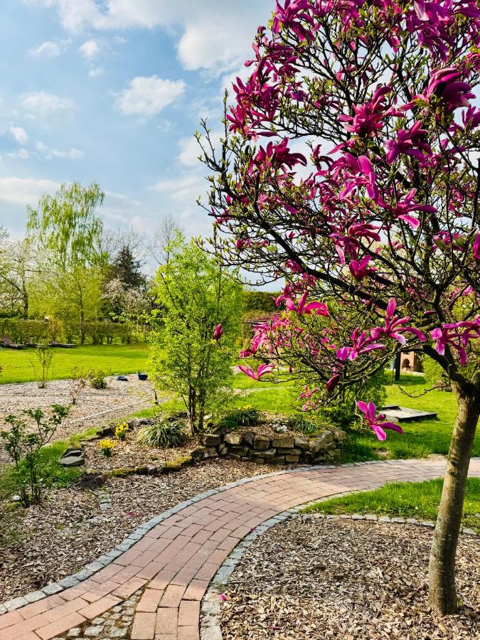 Ferienwohnungen Maedchen - B&B Wunstorf