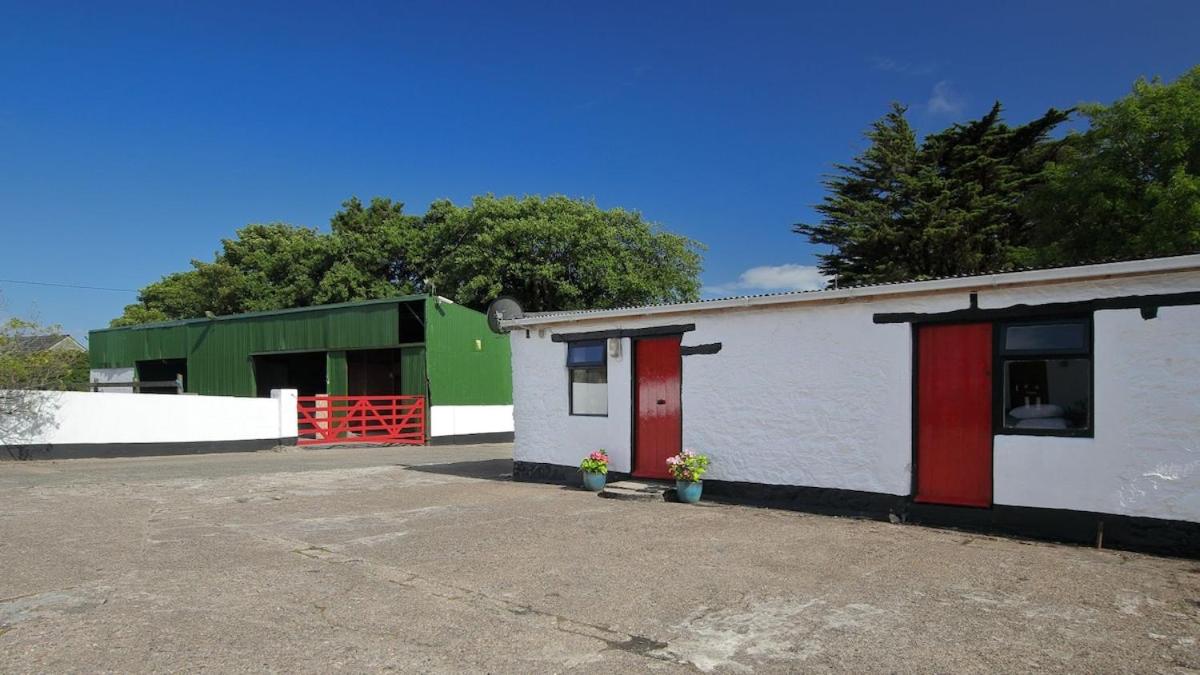 Peaceful tranquil Alpaca Farm - B&B Wexford