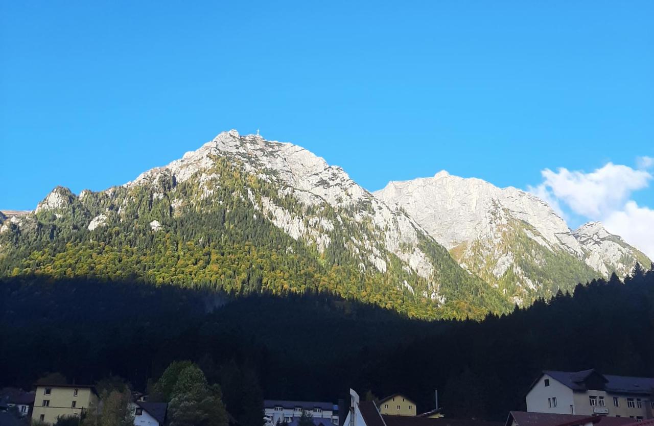 Casa Katalina 2 - B&B Buşteni