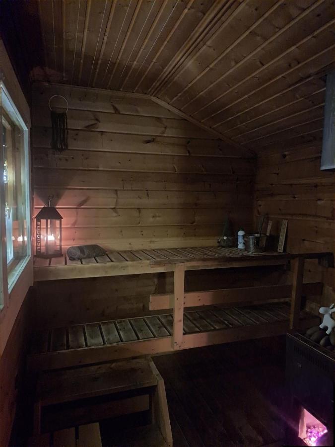 Blue Moment at the Arctic Circle- Forest, beach, activities - B&B