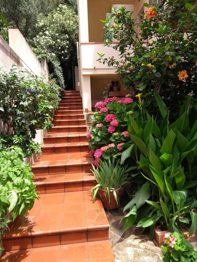 Casa Mia - B&B Siniscola