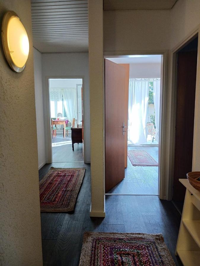 Cozy apartment with terrace - B&B Minusio