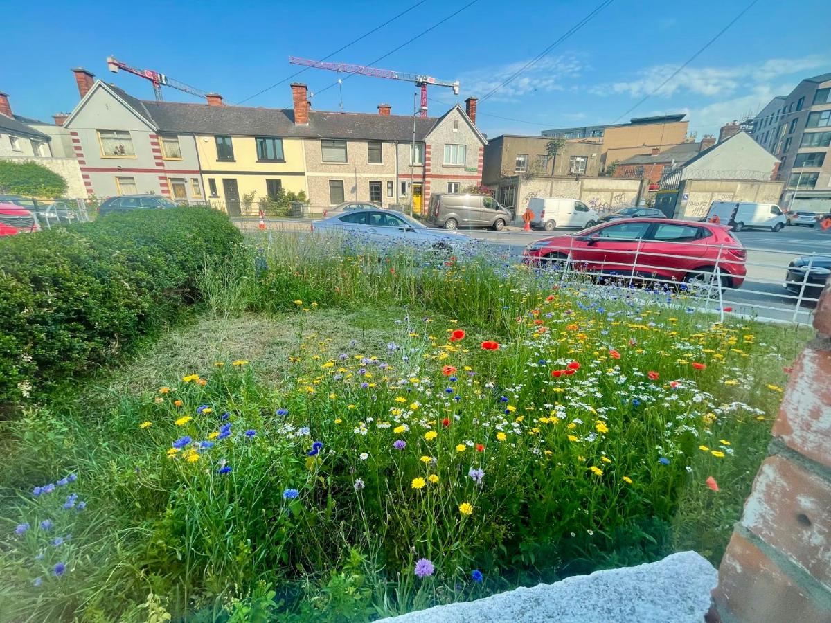 Double Room in Dublin City - B&B