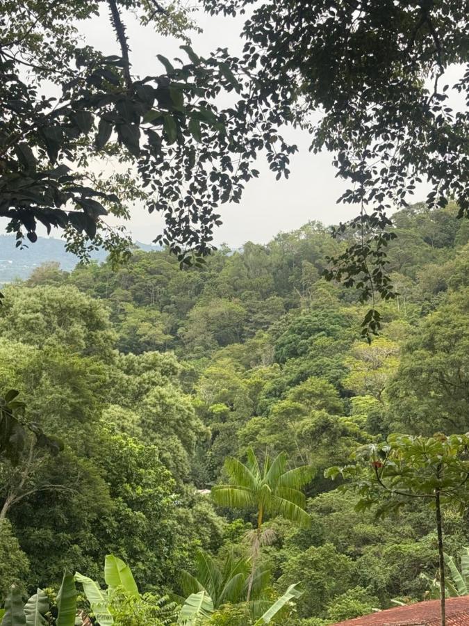 Chalé na Montanha no Recreio dos Bandeirantes - Linda Vista da Floresta - Perto de lindas praias - Chambres d'hôtes Engenho Novo